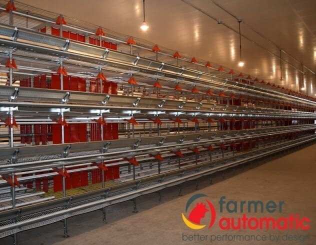 Automatic Egg Production Equipment