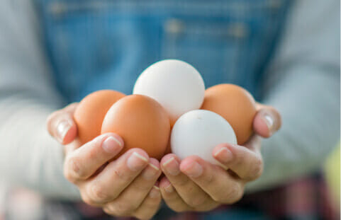 Hands holding 5 eggs
