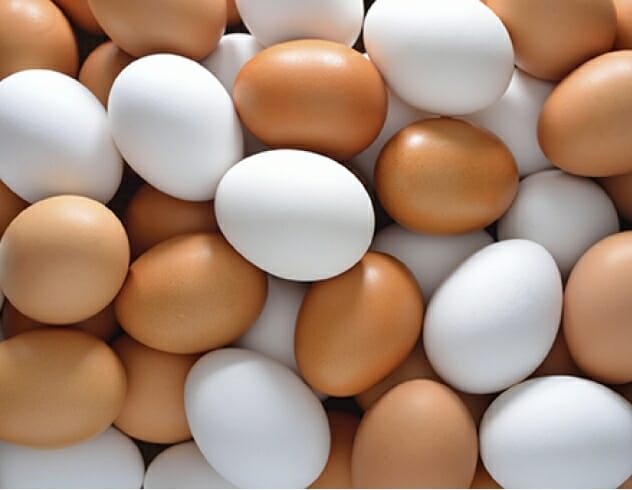 Multiple Eggs