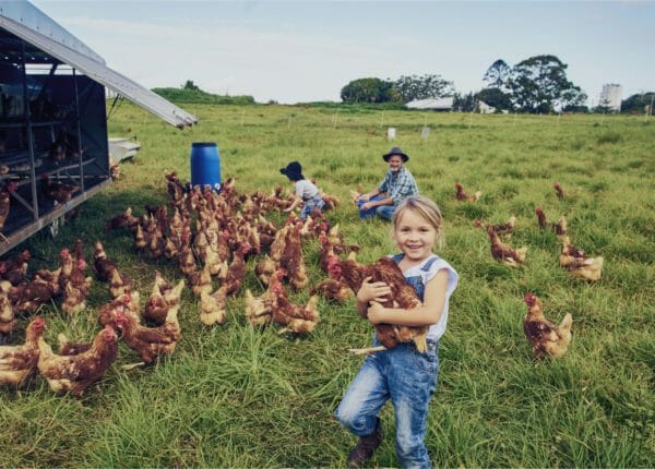 Commercial Poultry Supplies and Equipment | Clark AG Systems : Clark AG ...
