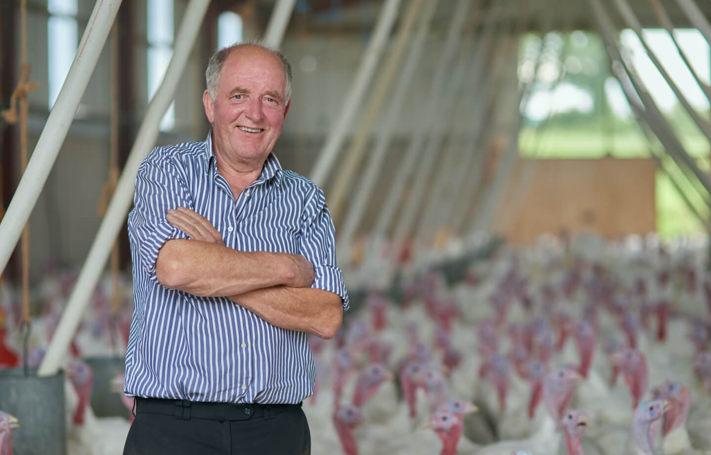 A farmer standing in a poultry barn