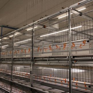 CBM Lighting TL Series