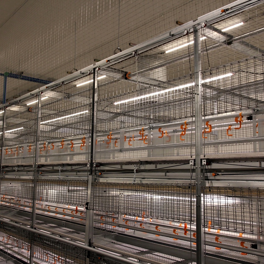 CBM Lighting TL Series