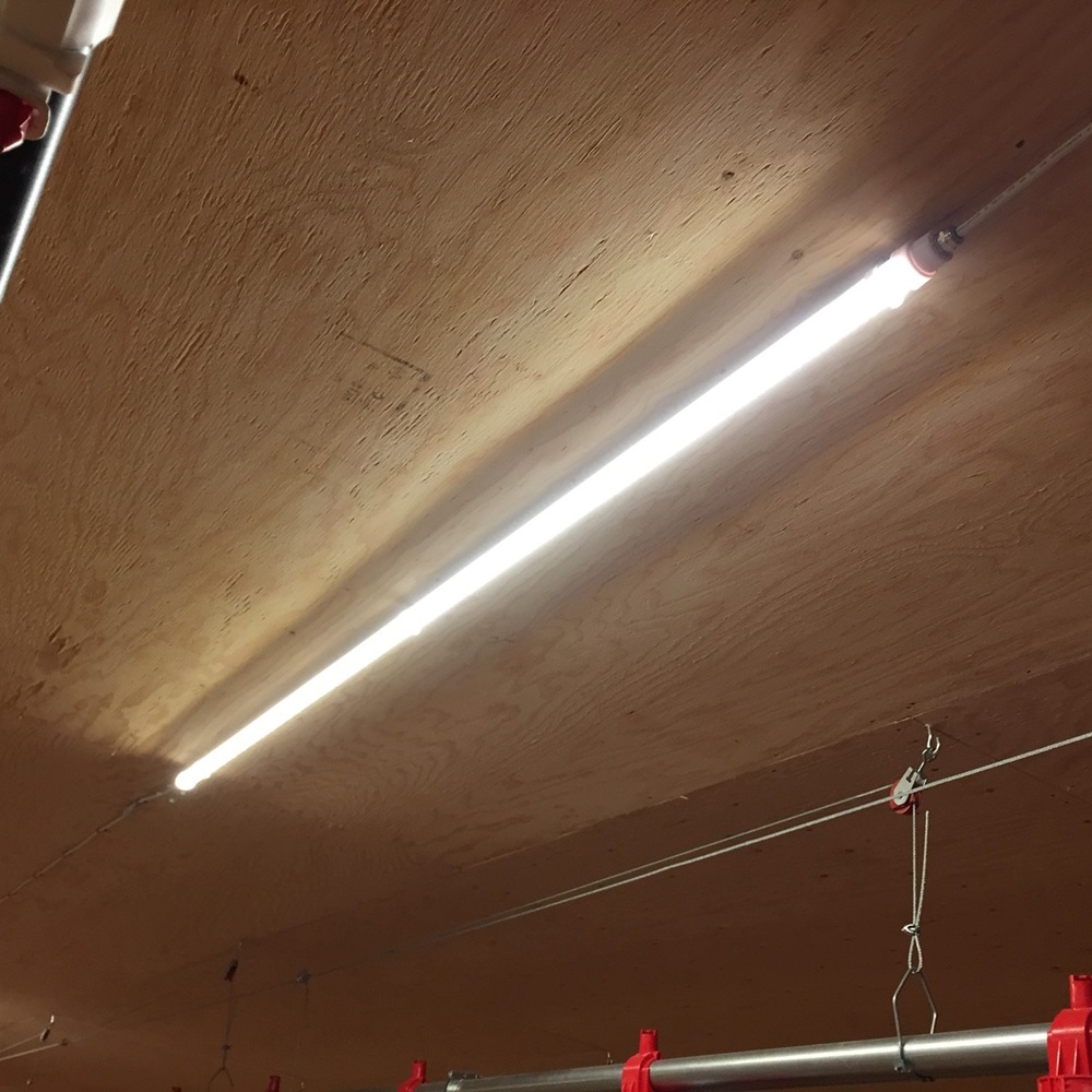 CBM Lighting TL Series