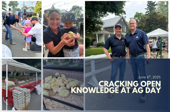 Cracking Open Knowledge at AG Day